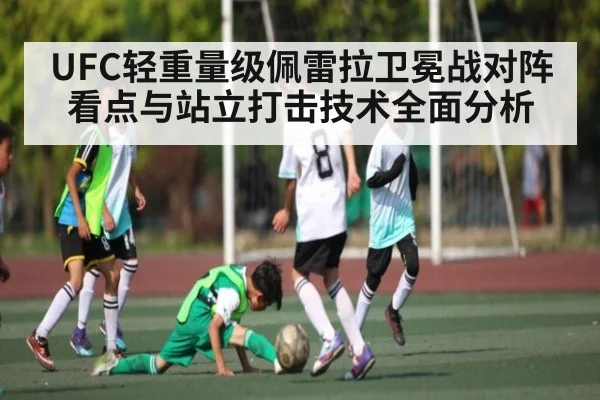 UFC轻重量级佩雷拉卫冕战对阵看点与站立打击技术全面分析